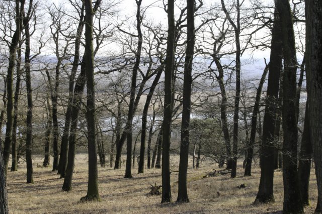 Natura 2000